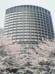 060328_1208~01.jpg