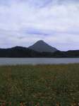 060806_1430~001.jpg