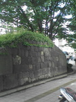 070705_0837~01.jpg