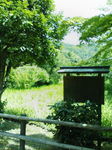 070826_1136~01.jpg