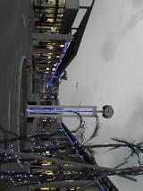 041225_1743~01.jpg