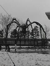 041231_1543~01.jpg