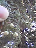 050206_1336~01.jpg