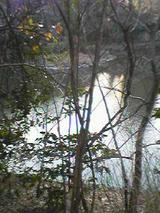 050301_1628~001.jpg