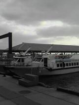 050325_1800~01.jpg