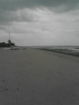 050326_1437~01.jpg