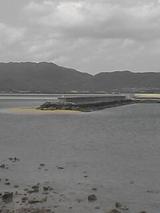 050326_1236~01.jpg
