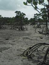 050326_1325~01.jpg