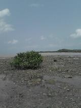 050326_1301~01.jpg