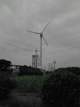 050327_1427~01.jpg