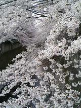 050408_1647~0001.jpg