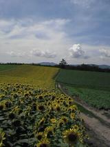 050808_1110~01.jpg