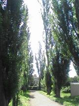 050810_1017~01.jpg